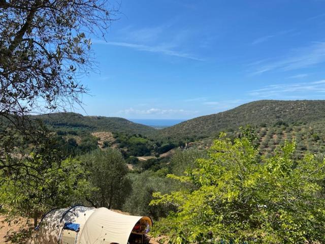 Divacamp Glamping Resort Campiglia Marittima Buitenkant foto